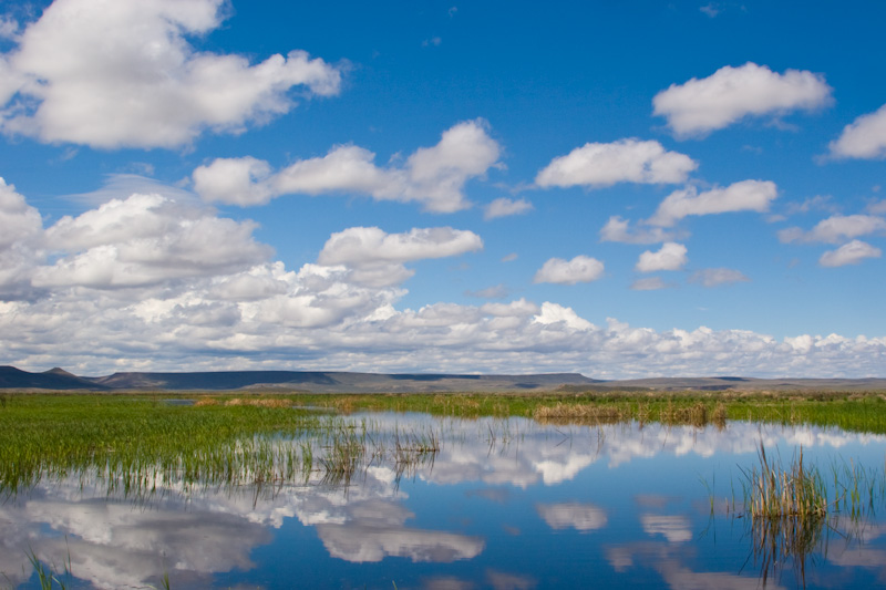 Clouds Reflected In Wetland